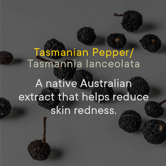 TOOLETRIES - Body Wash - Outback Bourbon