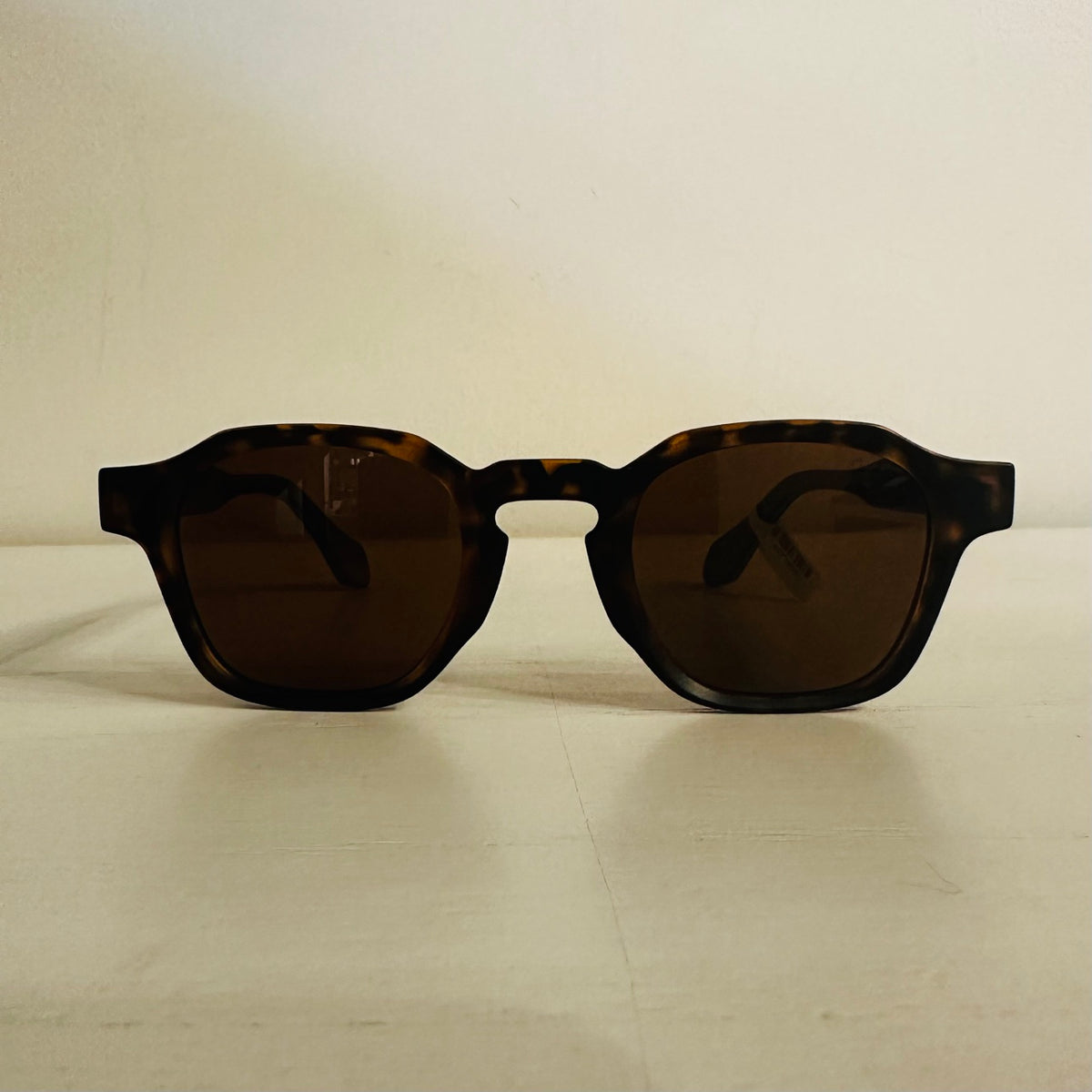 Tortoise frame wooden sunglasses front view