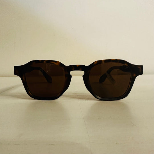 Tortoise frame wooden sunglasses front view