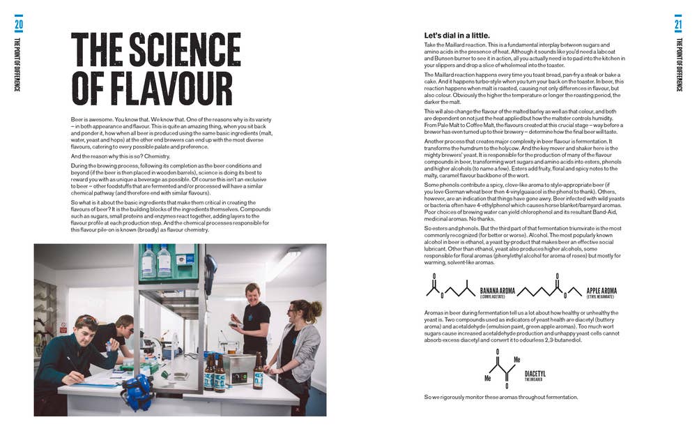 BrewDog: Craft Beer for the Geeks - Adult Book