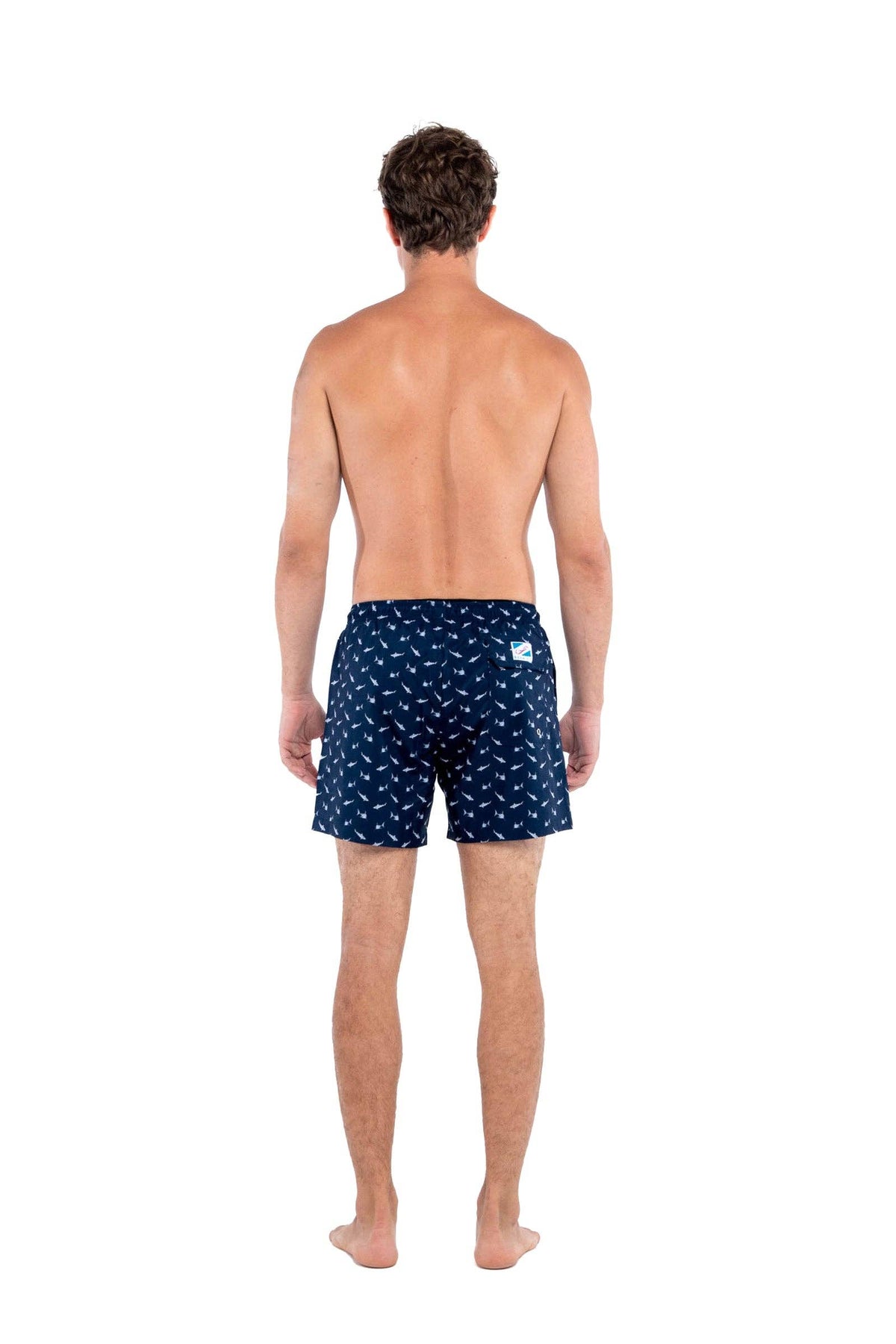 Sharks - 6 inch with liner, view 8
