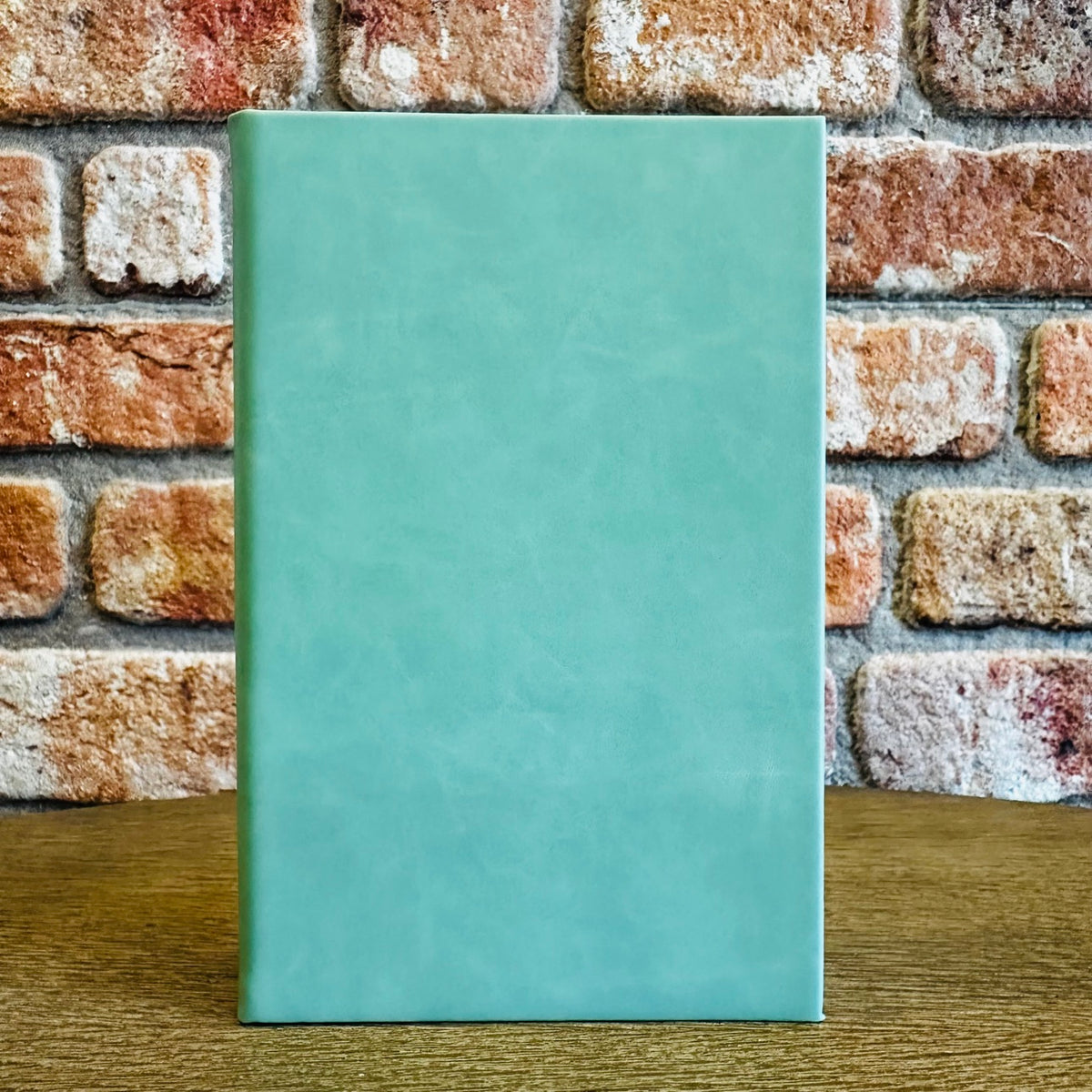 Leatherette journal in Mint