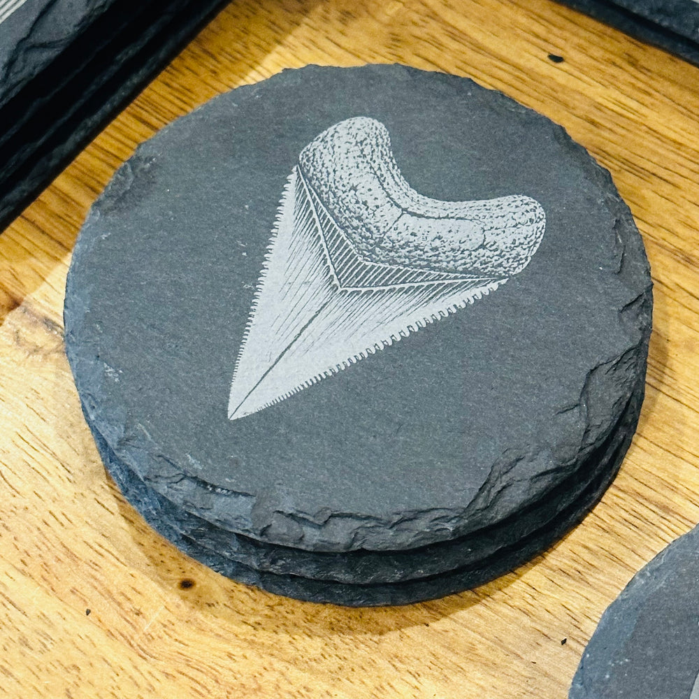 Meg Tooth Slate Rock Coaster