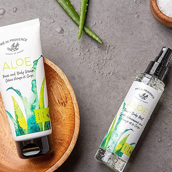 Aloe Face & Body Mist - Rust & Refined