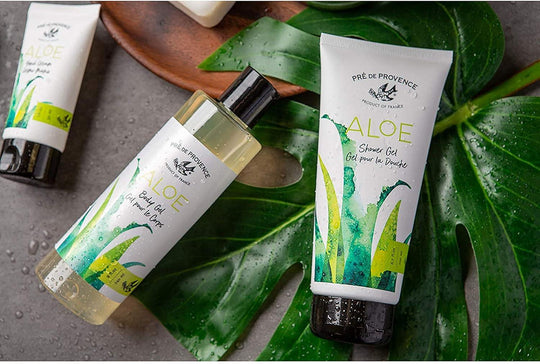 Aloe Shower Gel - Rust & Refined