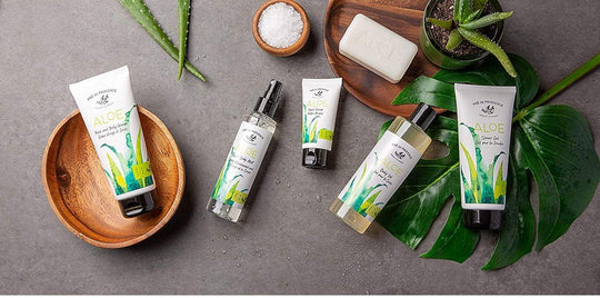 Aloe Shower Gel - Rust & Refined