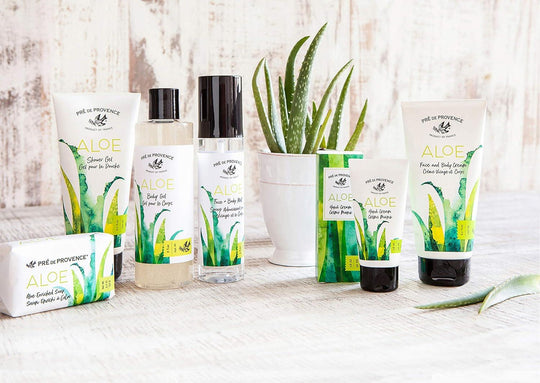 Aloe Shower Gel - Rust & Refined
