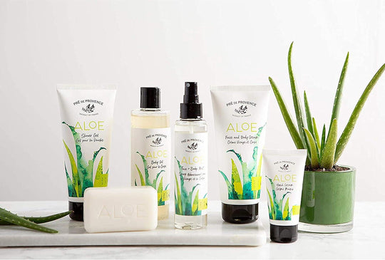Aloe Shower Gel - Rust & Refined