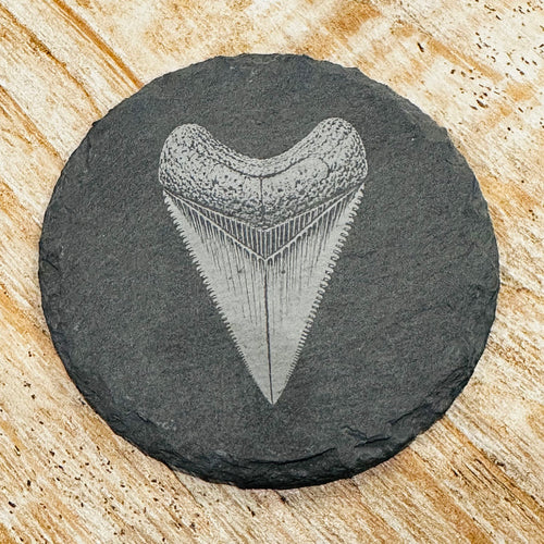 Shark Tooth Slate Coaster